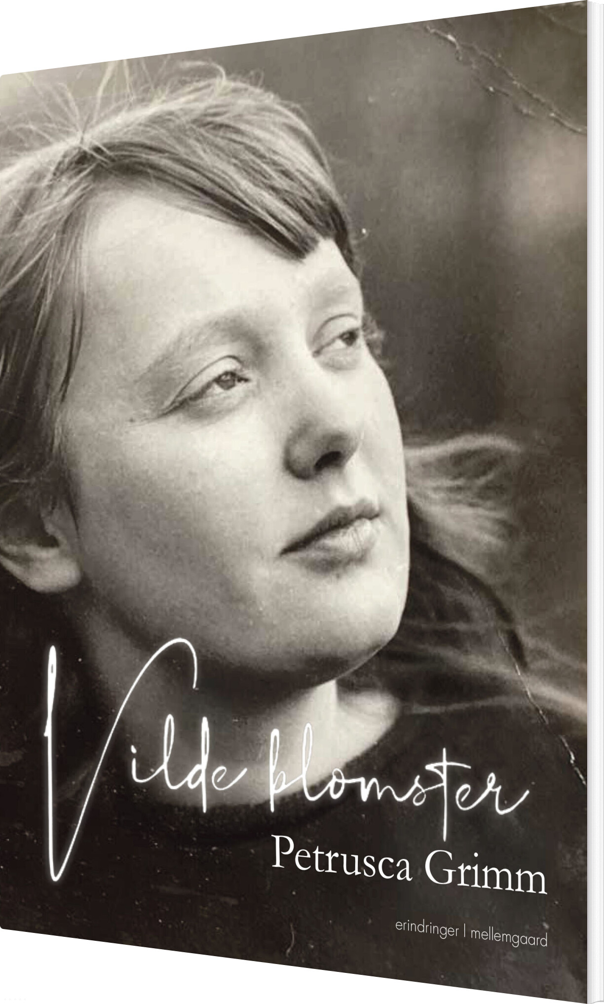 Vilde Blomster - Petrusca Grimm - Bog