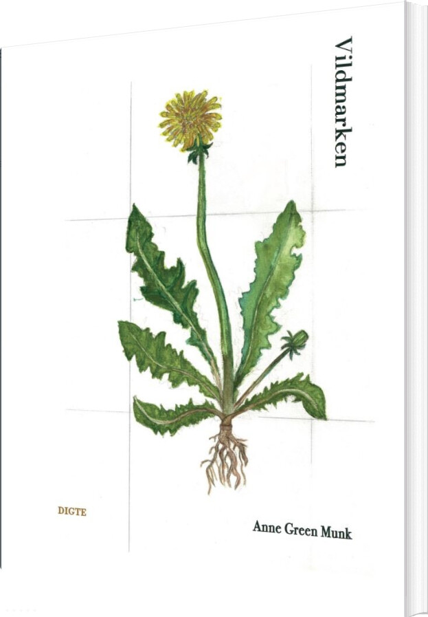 Vildmarken - Anne Green Munk - Bog