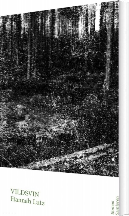 Billede af Vildsvin - Hannah Lutz - Bog