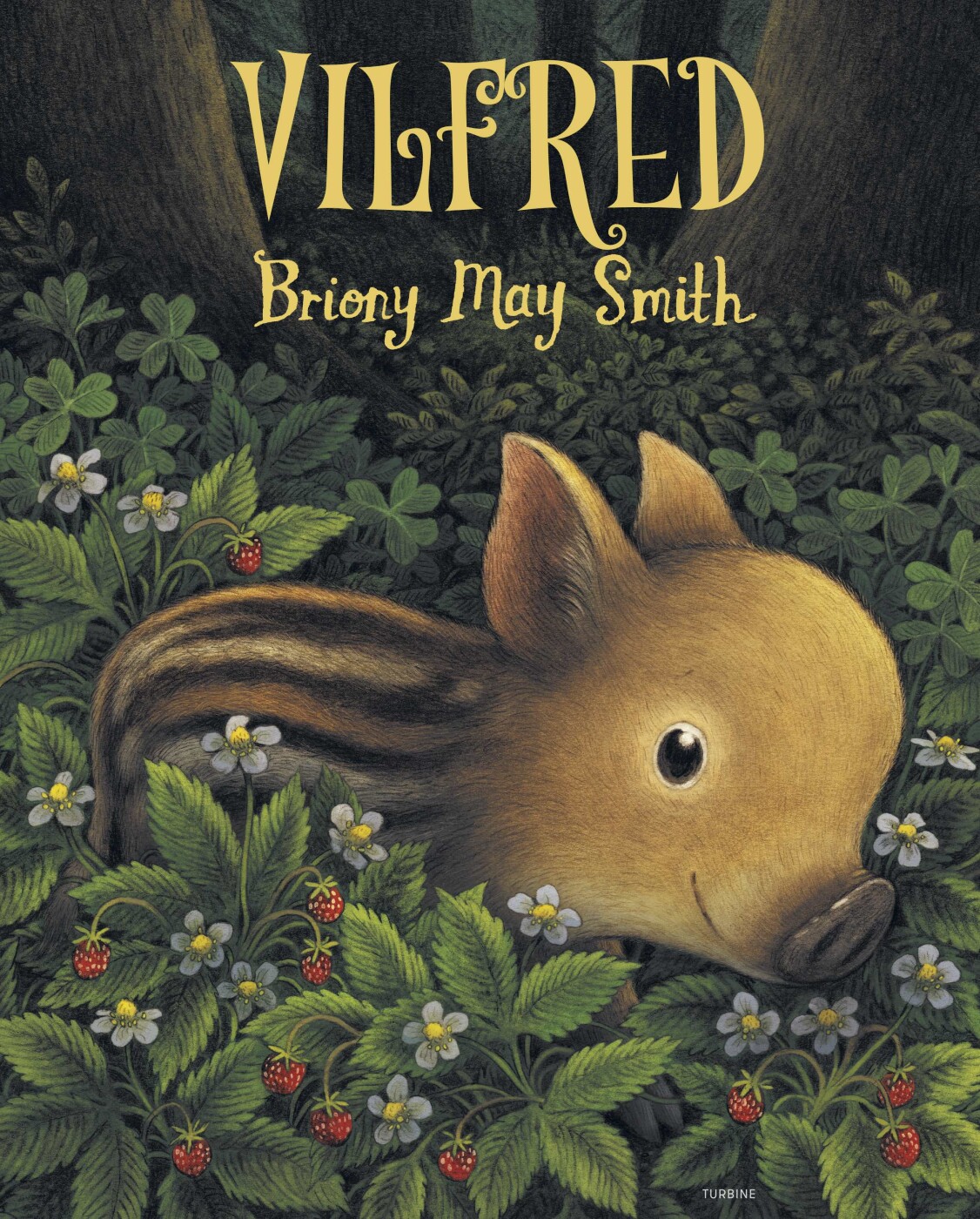 Vilfred - Briony May Smith - Bog