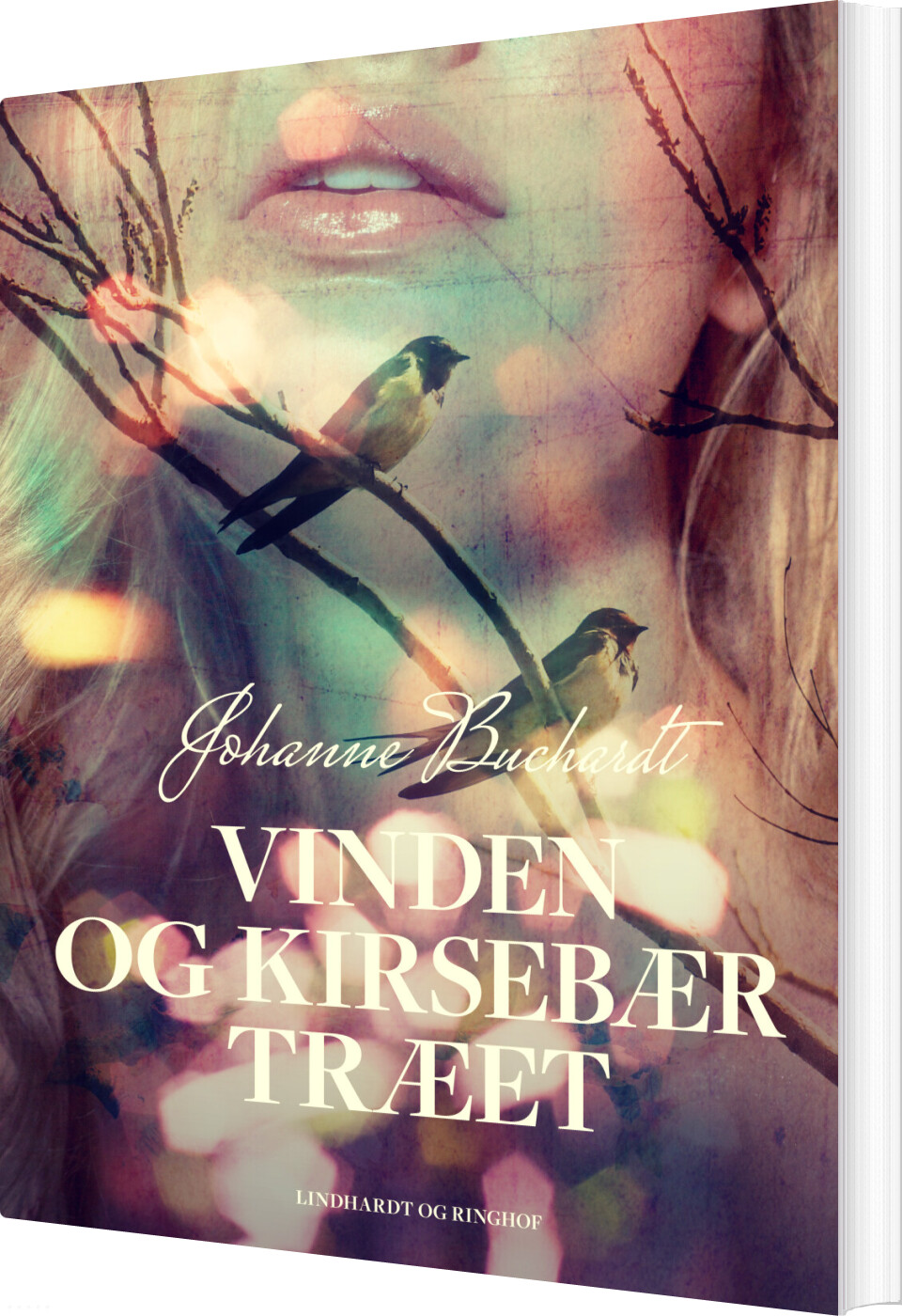 Vinden Og Kirsebærtræet - Johanne Buchardt - Bog