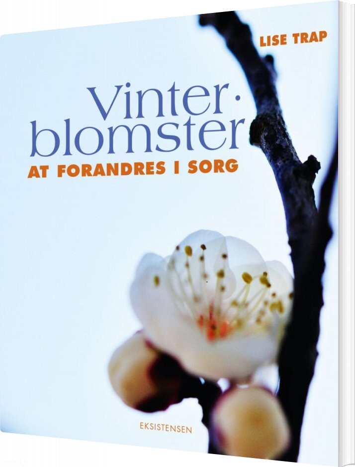 Vinterblomster - Lise Trap - Bog