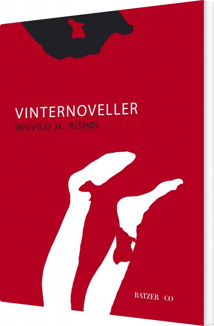 Billede af Vinternoveller - Ingvild H. Rishøi - Bog