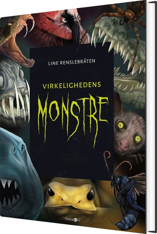 Billede af Virkelighedens Monstre + Monsterkort - Line Renslebråten - Bog hos Gucca.dk