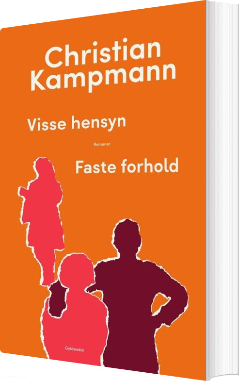 Visse Hensyn & Faste Forhold - Christian Kampmann - Bog