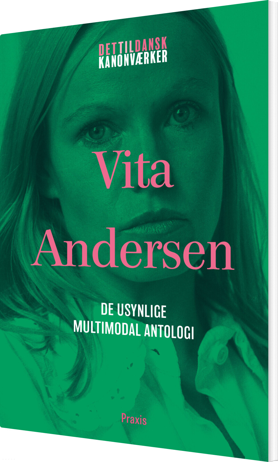 Vita Andersen: De Usynlige - Multimodal Antologi - Vita Andersen - Bog