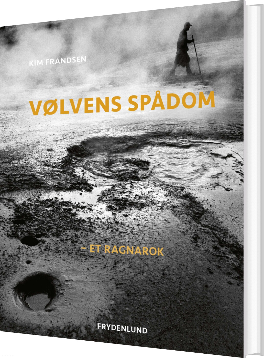 Billede af Vølvens Spådom - Kim Frandsen - Bog