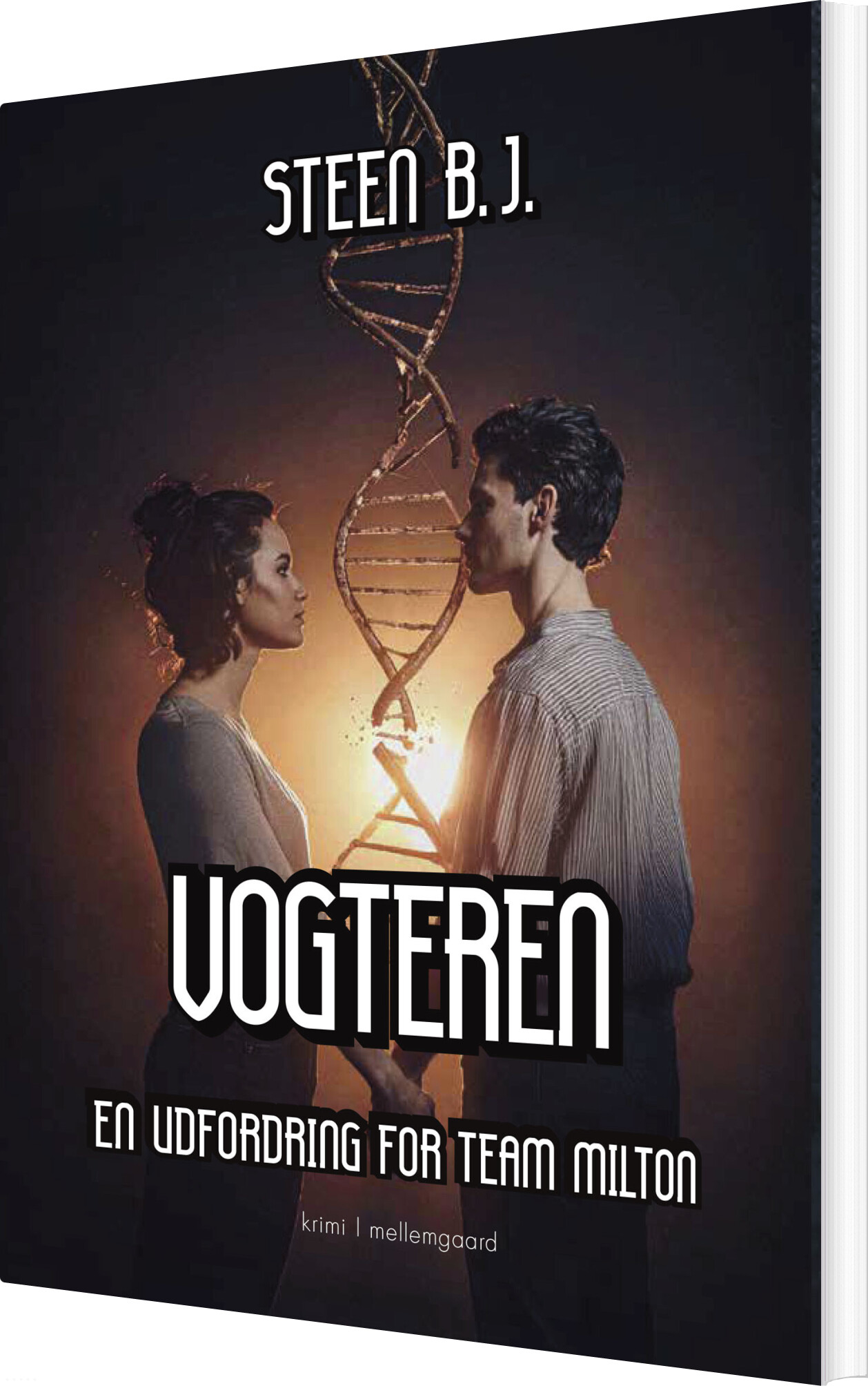 Vogteren - Steen B.j - Bog