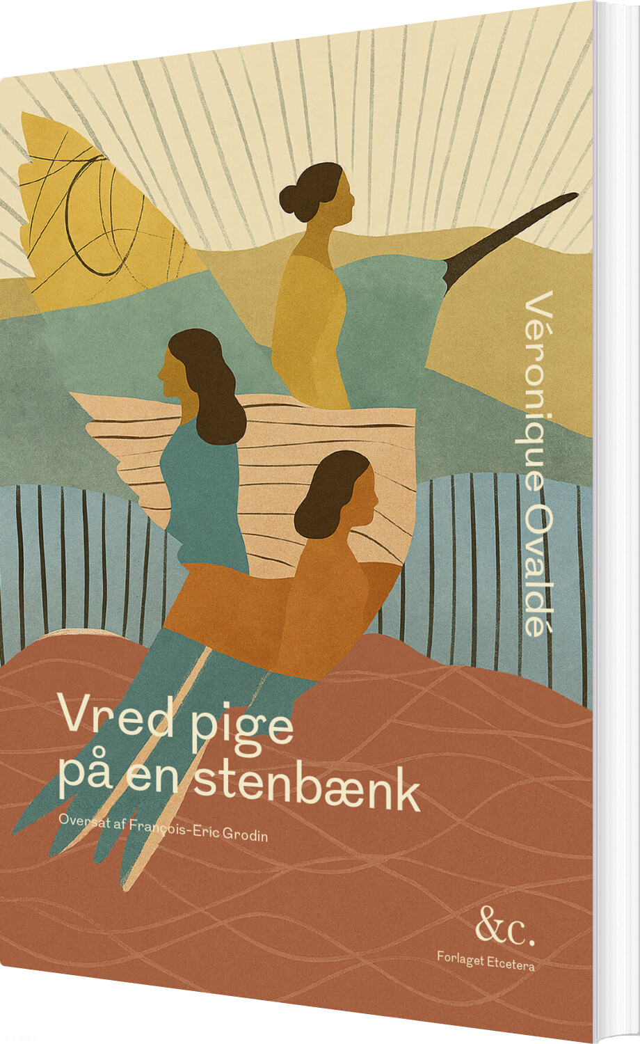 Vred Pige På En Stenbænk - Véronique Ovaldé - Bog