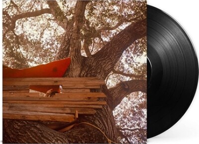 The Backseat Lovers - Waiting To Spill - Vinyl Lp