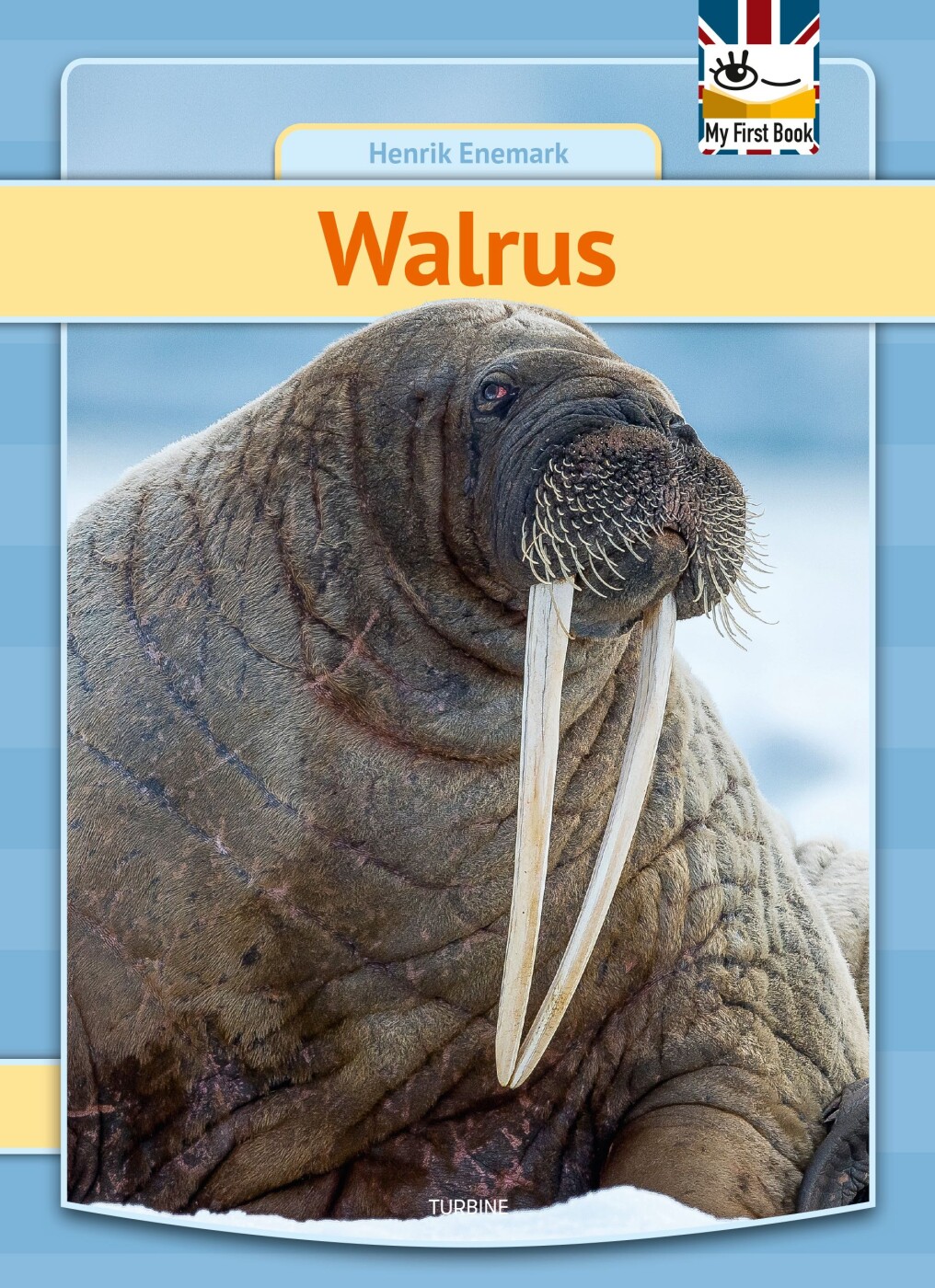 Walrus - Henrik Enemark - English Book