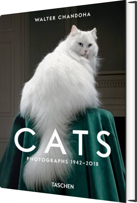 Walter Chandoha. Cats. Photographs 1942-2018 - Susan Michals - English Book