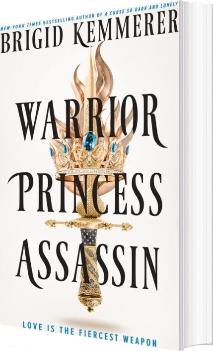 Warrior Princess Assassin - Brigid Kemmerer - English Book