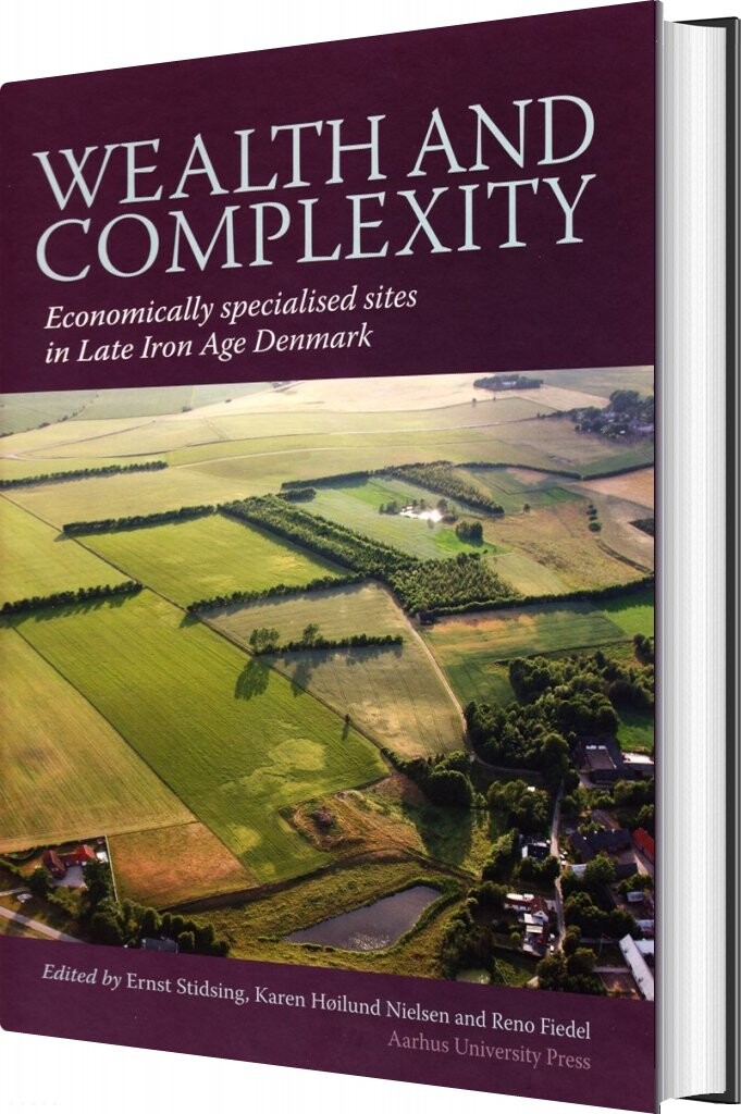 Billede af Wealth And Complexity - Ernst Stidsing - Bog