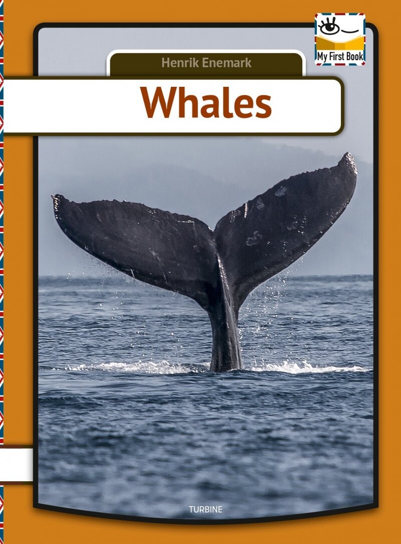 Whales - Henrik Enemark - English Book