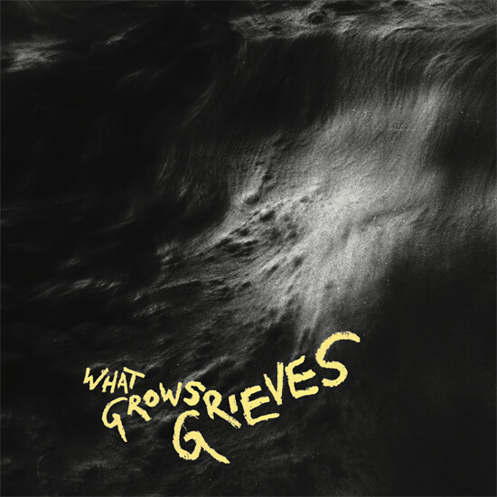 Vingborg Valencia - What Grows Grieves - Vinyl Lp