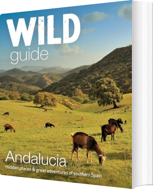 Wild Guide Andalucia: Hidden Places & Great Adventures In Southern Spain - Edwina Pitcher - English Book