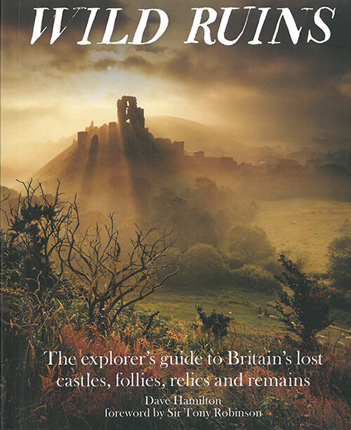 Billede af Wild Ruins - Dave Hamilton - English Book