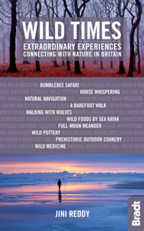 Billede af Wild Times - Jini Reddy - English Book