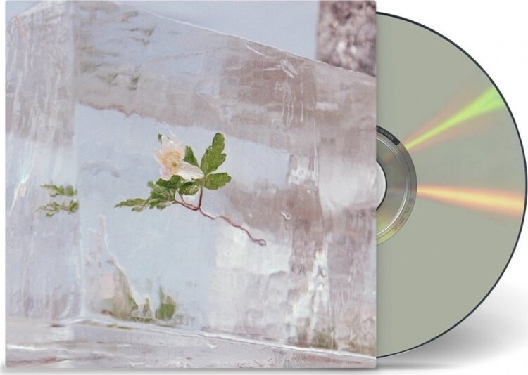 Efterklang - Wildflowers - CD