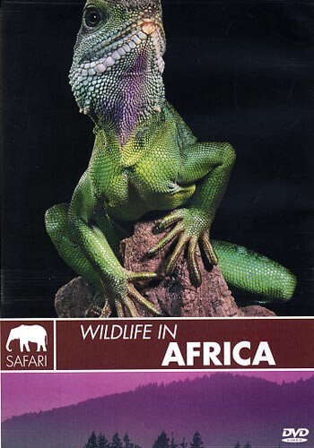 Wildlife In Africa - DVD - Film