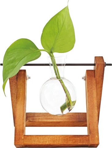 Winkee - Hydro Vases Lilly - Vase