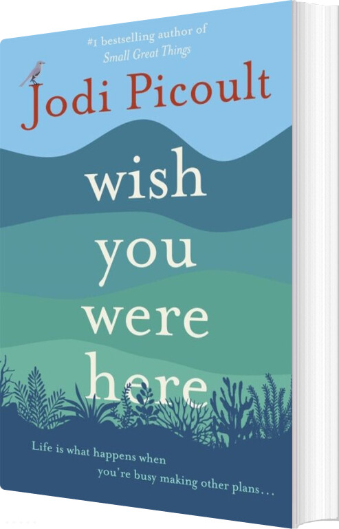 Billede af Wish You Were Here - Jodi Picoult - English Book