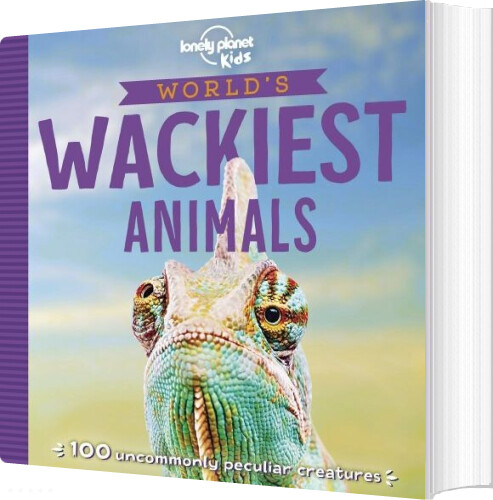 World's Wackiest : 100 Amazingly Bizarre Creatures - Lonely Planet - English Book