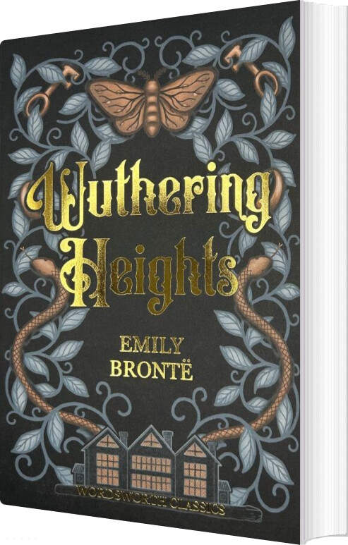 Wuthering Heights - Emily Brontë - English Book