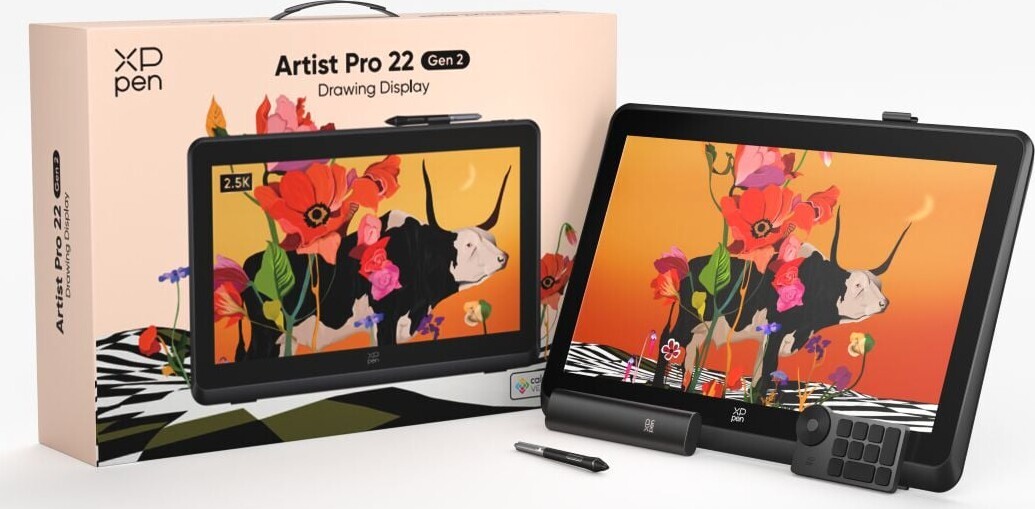 Xppen - Artist Pro 22 Drawing Display (gen2)