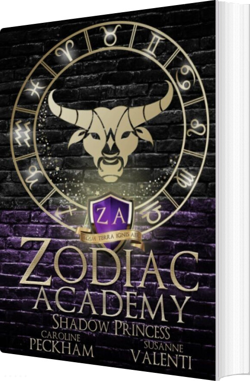 Zodiac Academy 4 - Shadow Princess - Caroline Peckham - English Book
