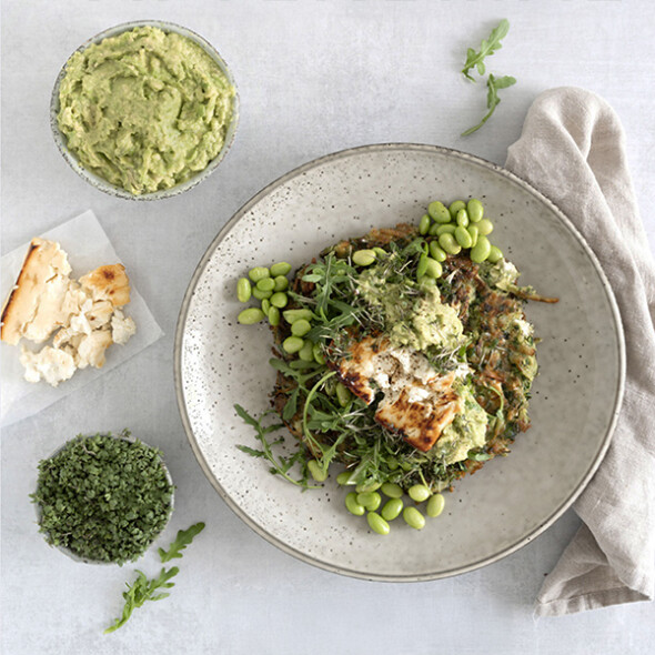 Vegetariske Kogebøger 2