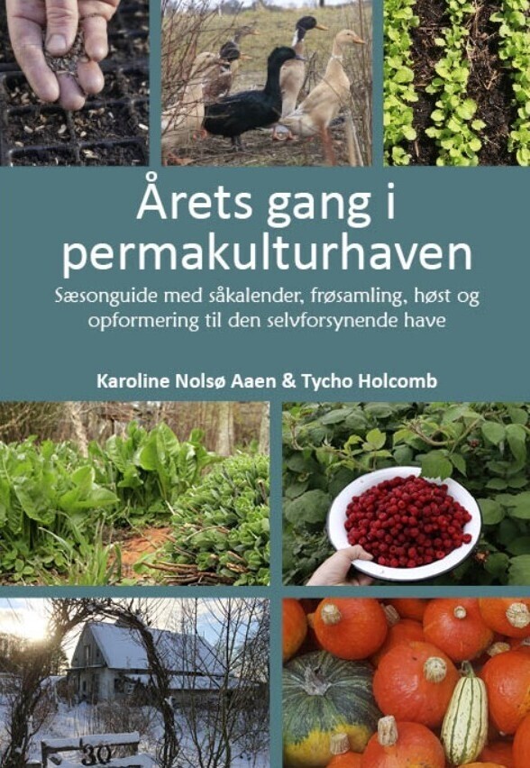 Årets Gang I Permakulturhaven