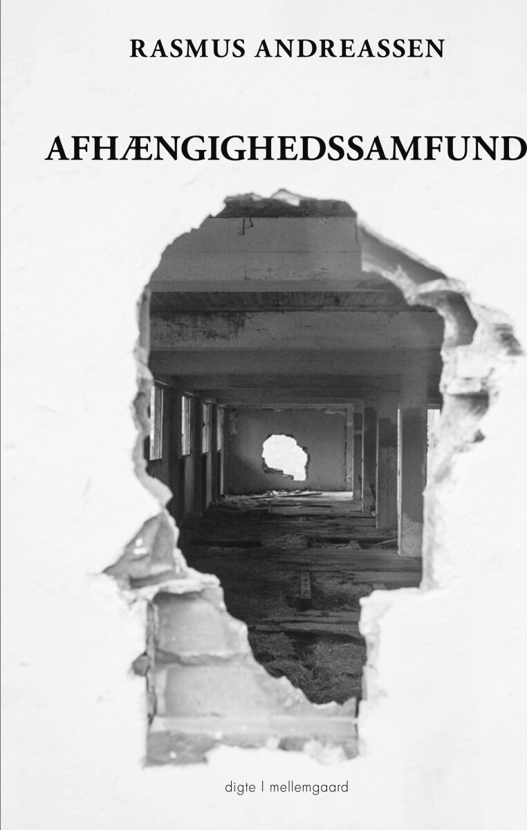 Afhængighedssamfund