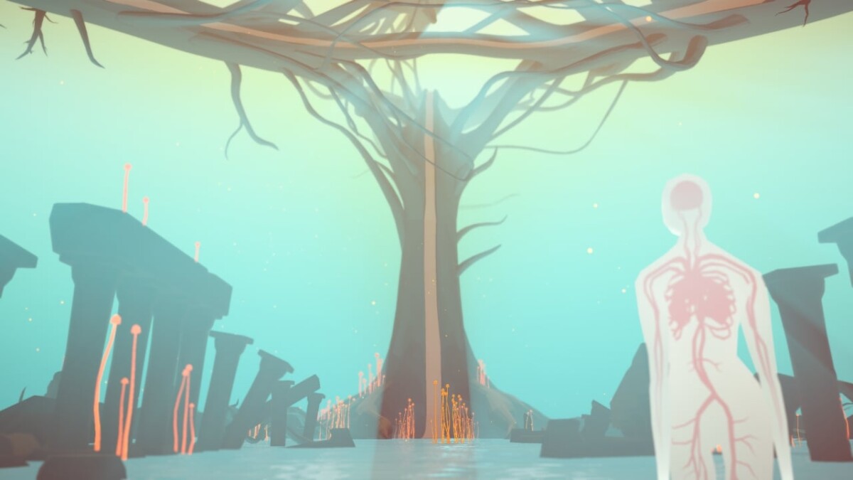 Akupara Narrative Pack