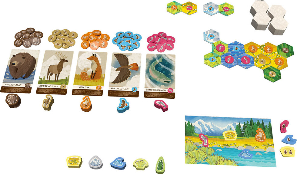 Cascada Junior Brætspil - Asmodee Nordics