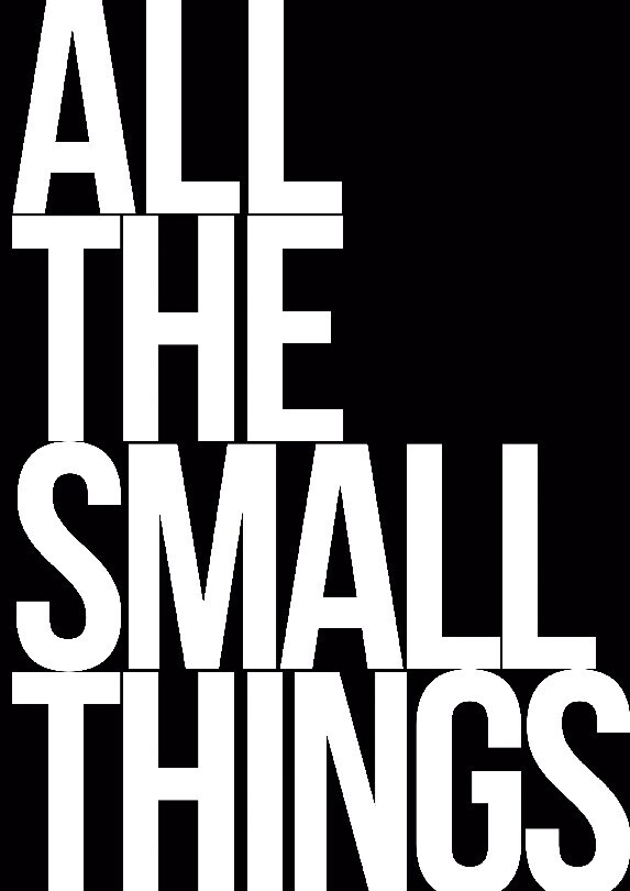 All The Small Things af Dennis Schjødt Hansen Hardback Bog Gucca.dk