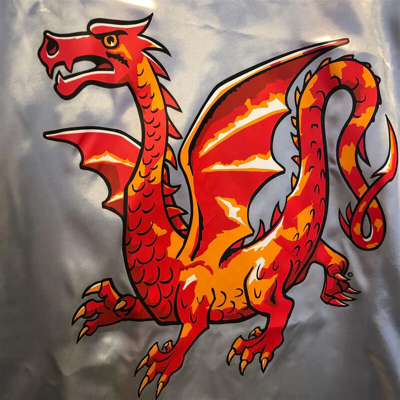 Kappe Til Børn - Amber Dragon-Ridderserien - Liontouch
