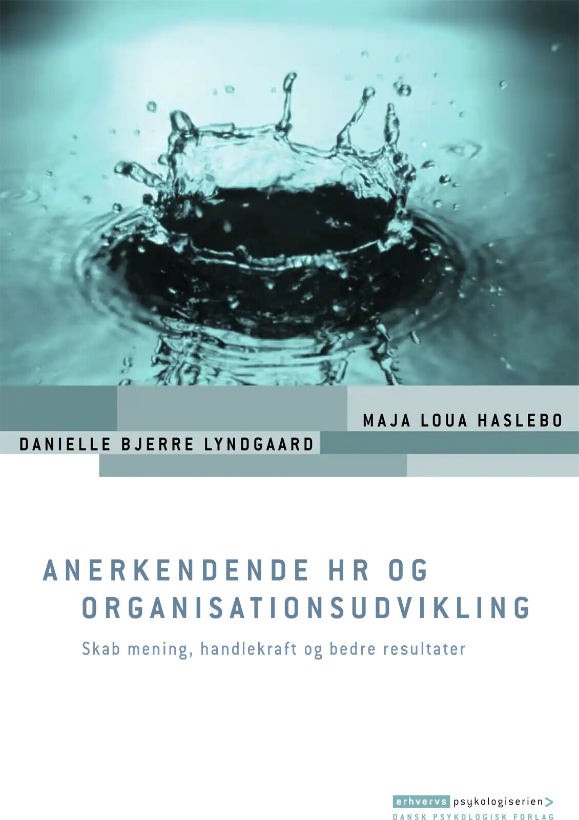 Anerkendende Hr Og Organisationsudvikling