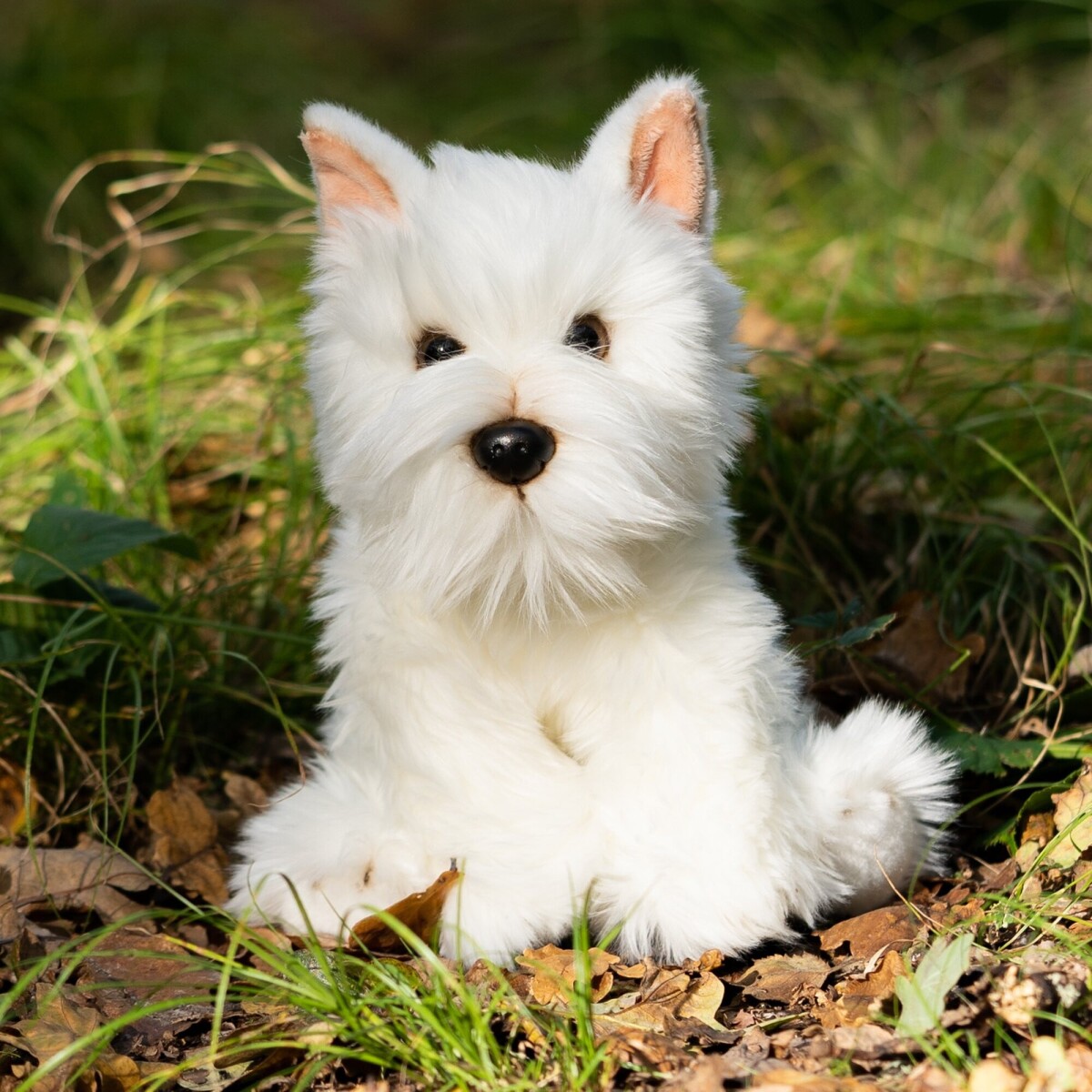 Animigos - World Of Nature Westie Hund