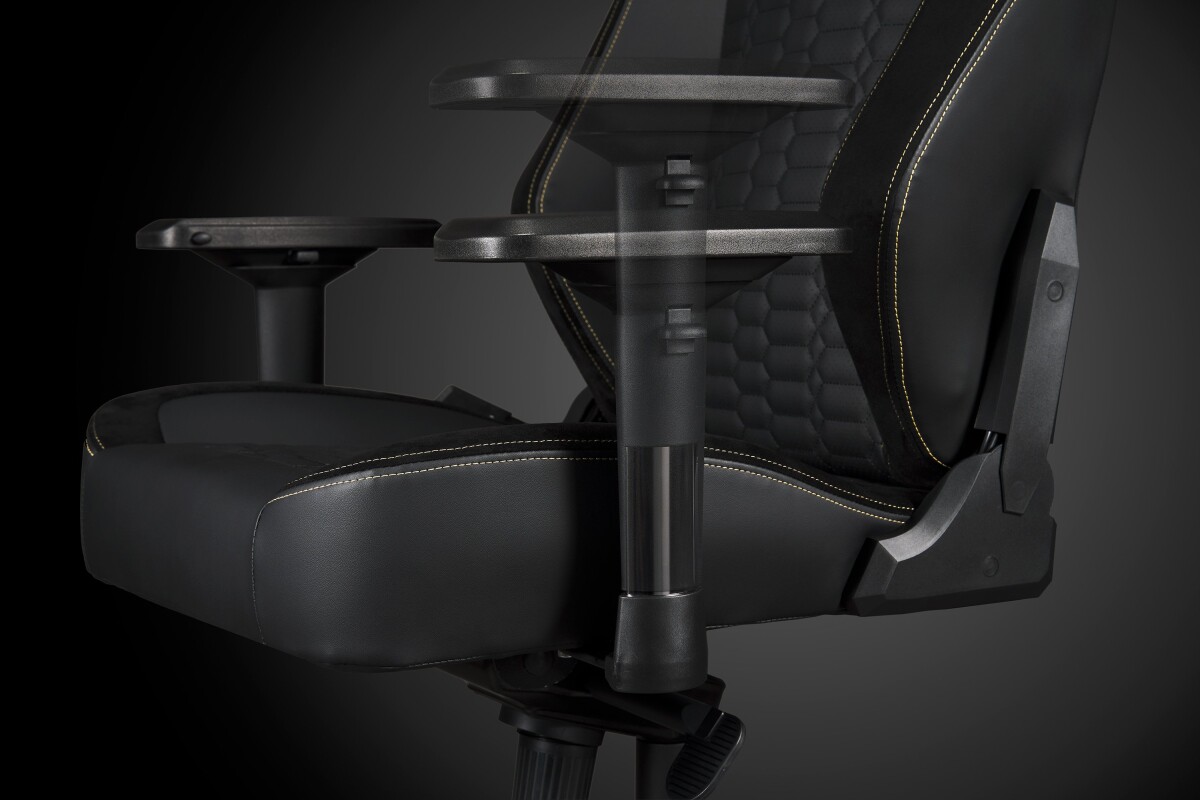 Apollon Classic Gold Top Black Seat Gold Logo