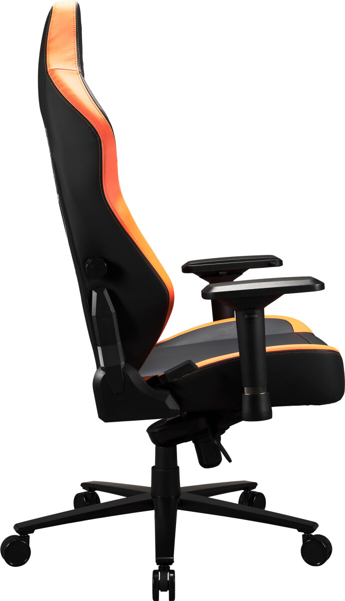 Apollon Collector Dbz Shenron Black Seat Goldgrey