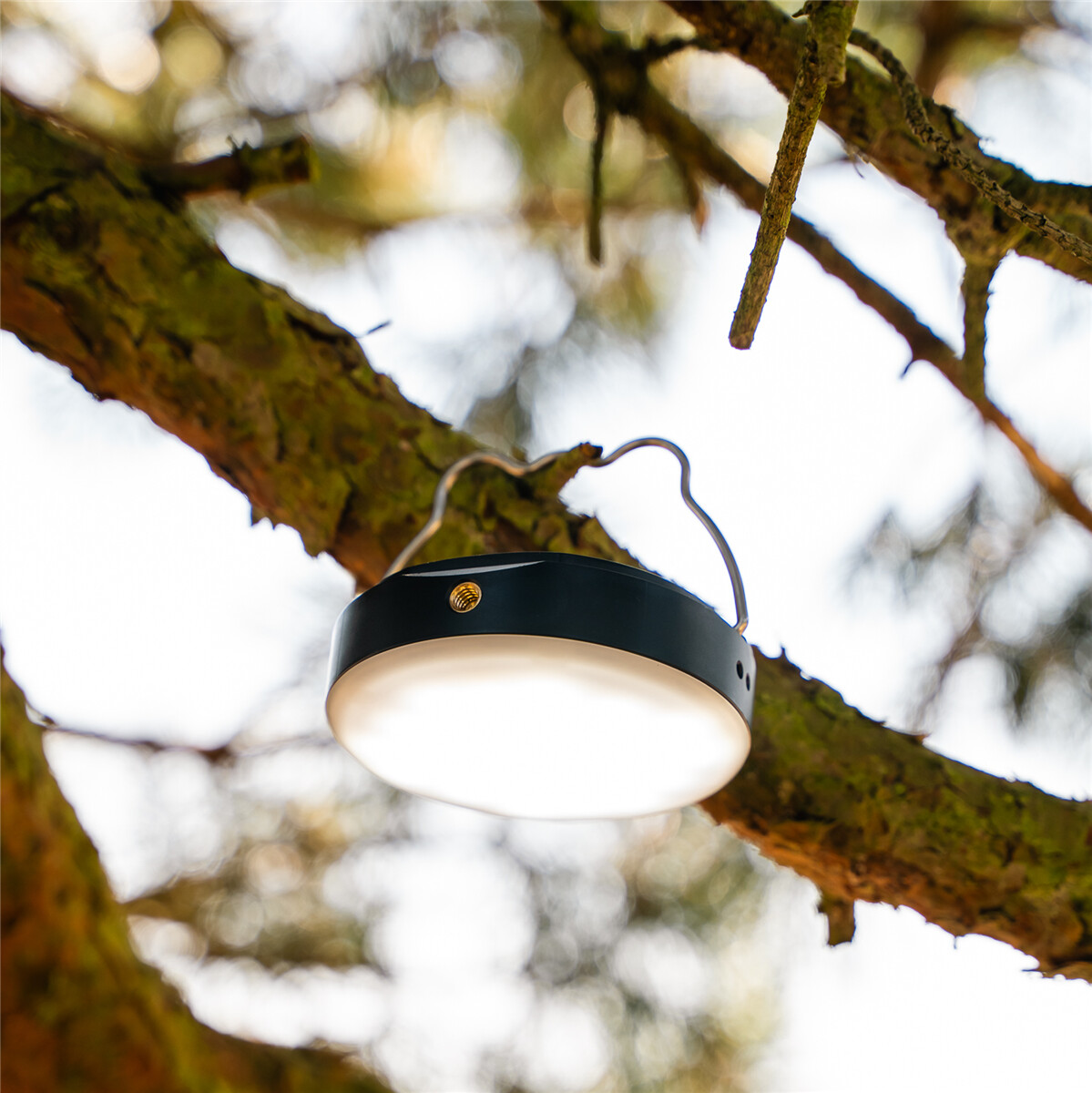 Aqiila - Lightbird Bl10 - Campinglight With Powerbank