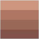 Aqua Wash Ink 60Ml Burnt Sienna - 301501