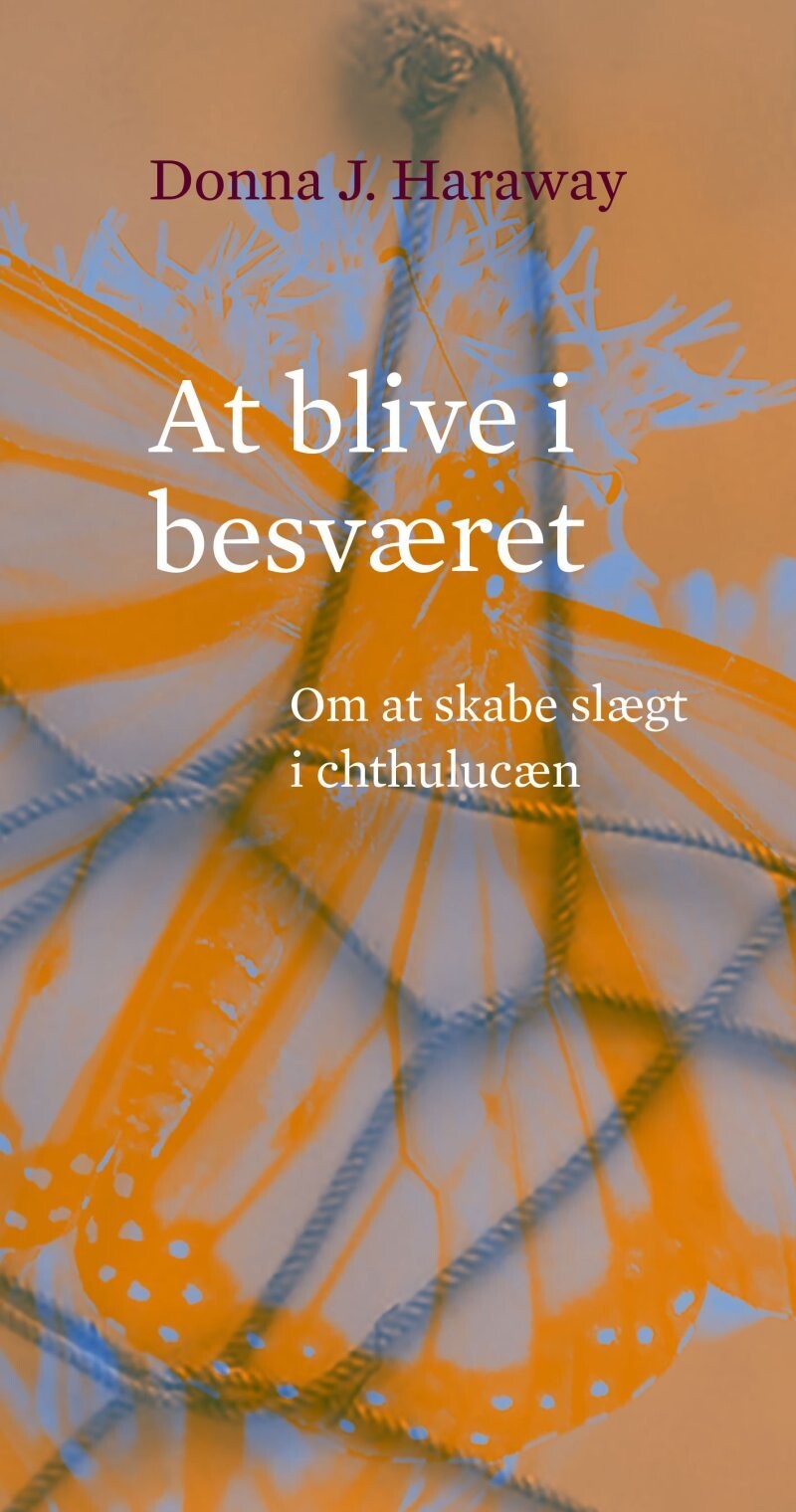 At Blive I Besværet