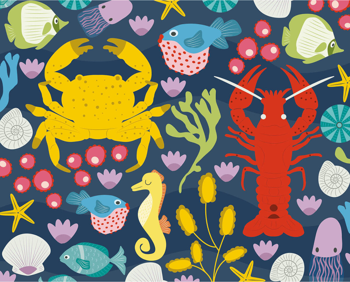 Scratch Art - Ridsekort - Havet - 10 Billeder - Auzou