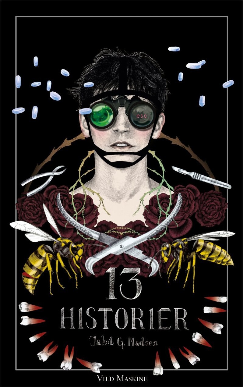 13 Historier