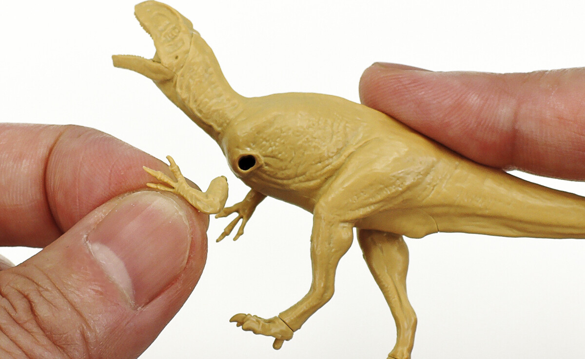 Tamiya 28501 - Fukuiraptor Dinosaur Modelbyggesæt I Plast - 1 35