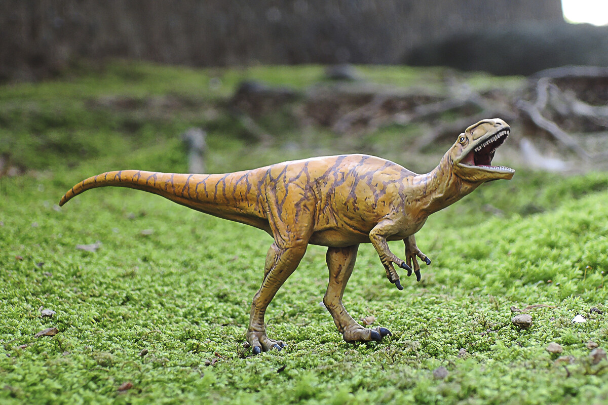 Tamiya 28501 - Fukuiraptor Dinosaur Modelbyggesæt I Plast - 1 35