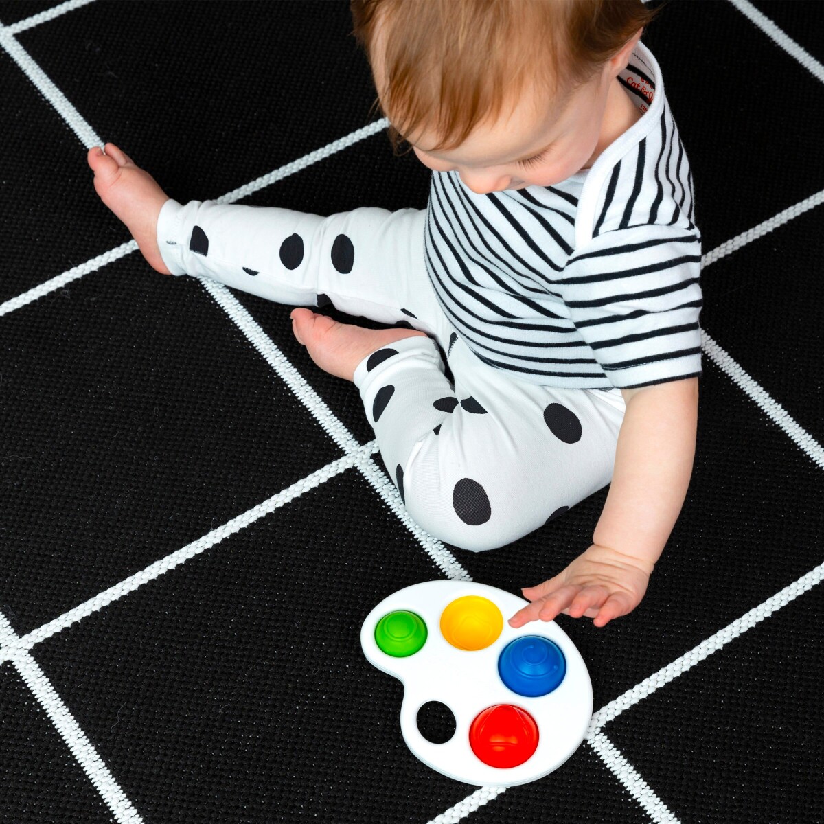 Baby Einstein - Pop It Sanselegetøj - Farve Palette